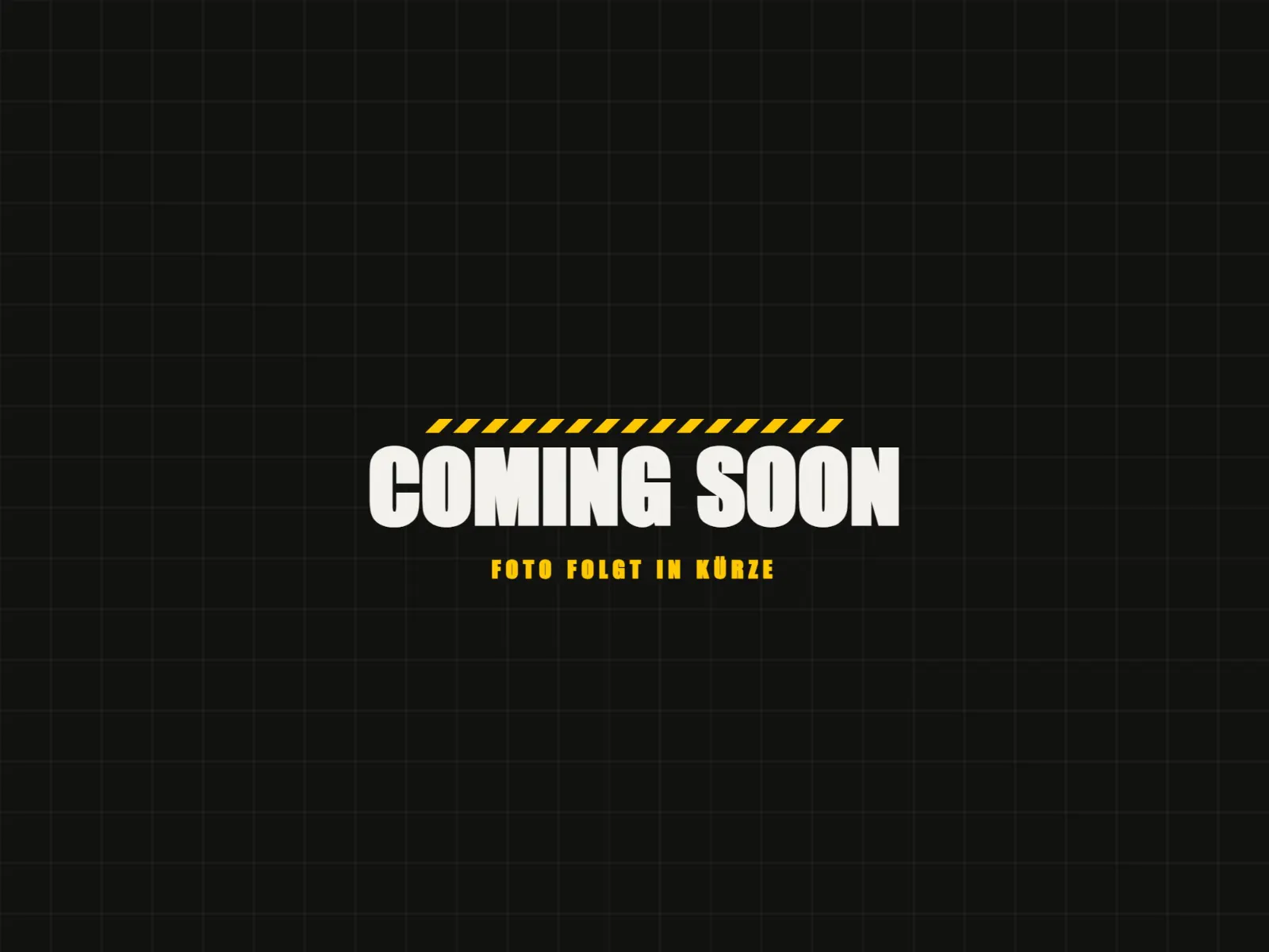 Diagnosegerät im Einsatz